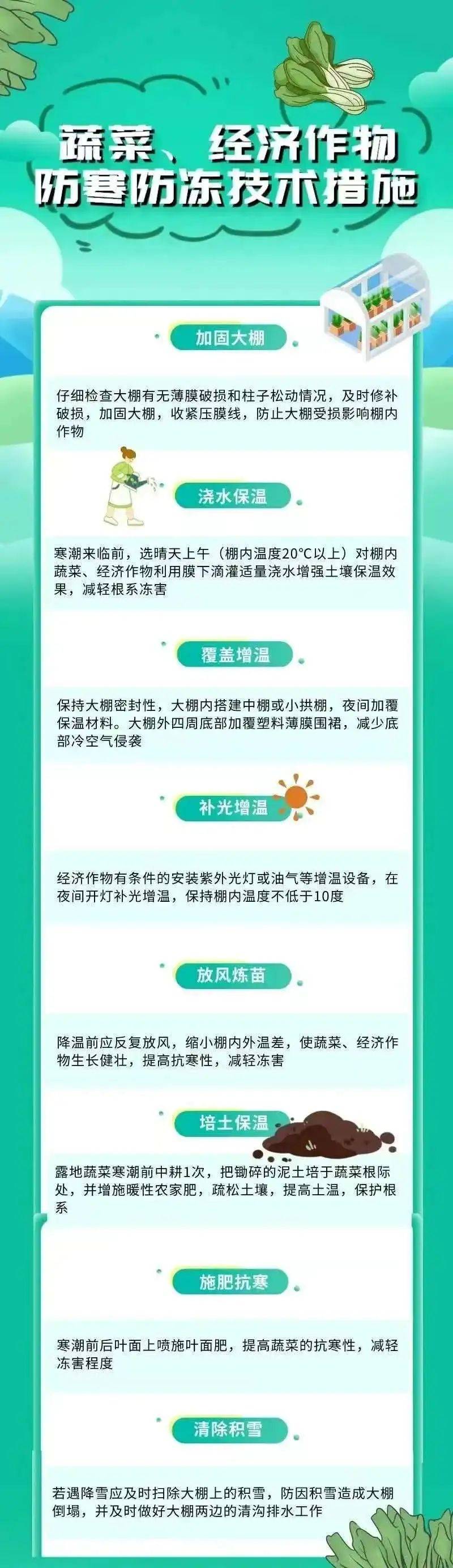 【坚持人民至上】寒潮来了！农业生产如何应对？
