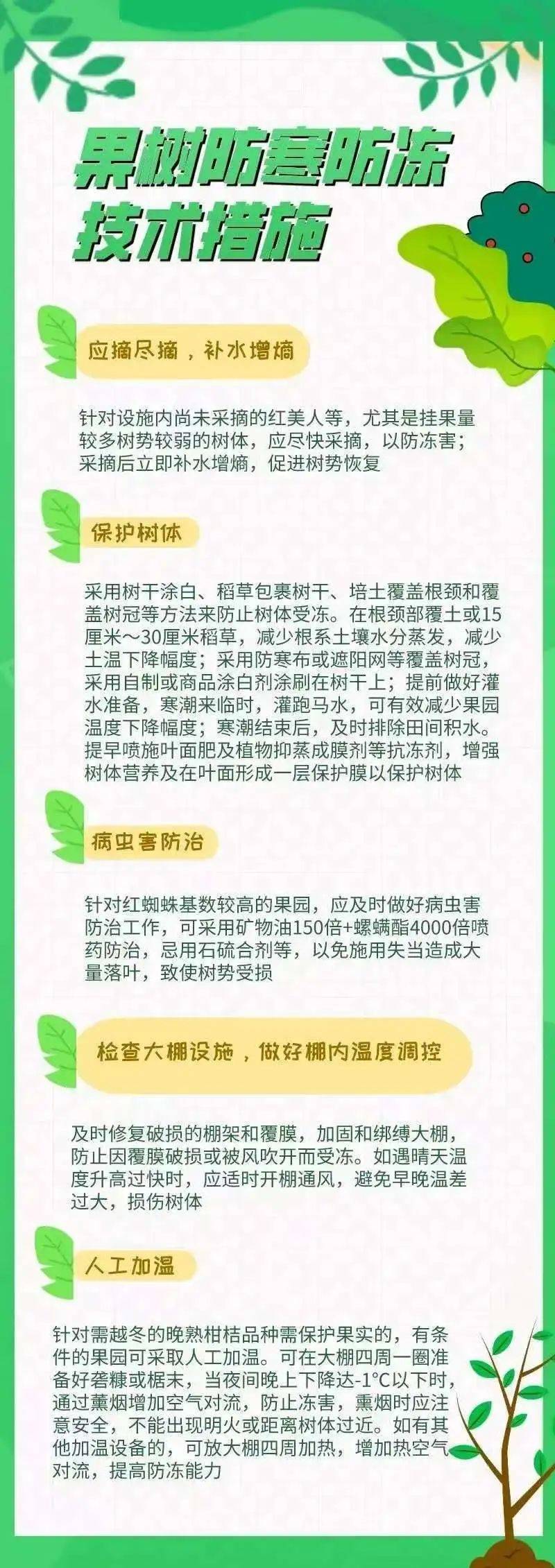 【坚持人民至上】寒潮来了！农业生产如何应对？
