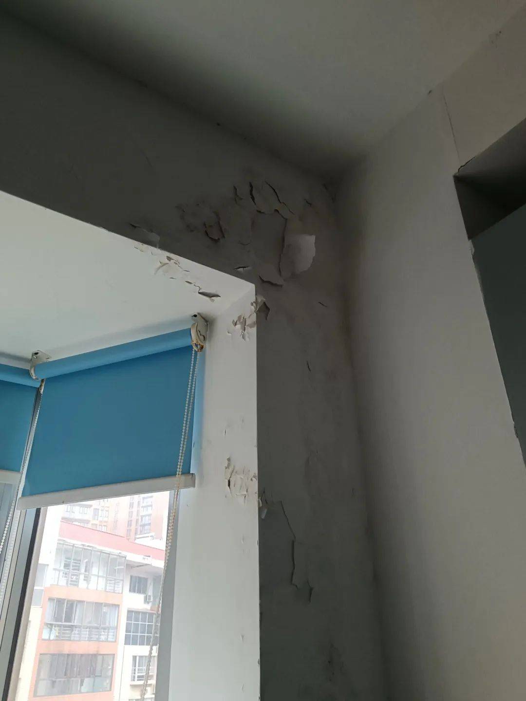 长沙一小区楼顶被种出茂密“丛林”，居民担心安全！城管：屋顶有产权，会上门查看