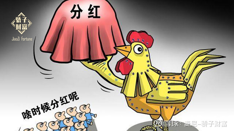 理财投资分红(基金存在分红吗)