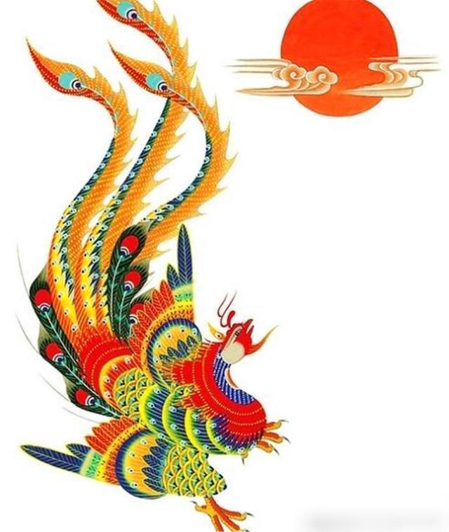 金凤凰理财(金凤凰理财平台创始人是谁)