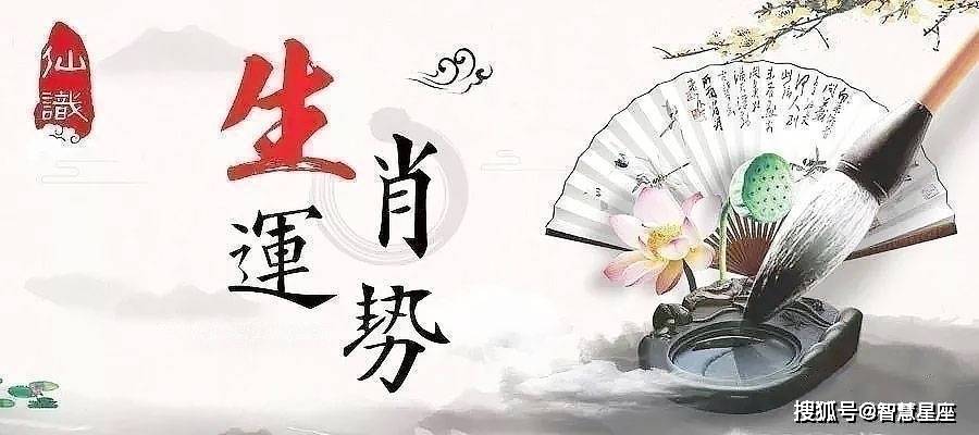 羊理财(羊理财产品一般由什么机构托管)