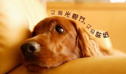 理财的作文(理财的作文怎么写)