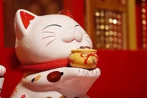 旺指理财(指旺财富理财安全吗)