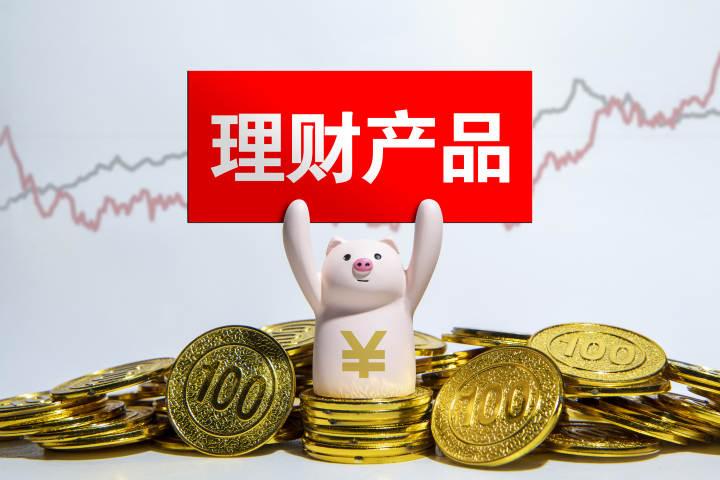 什么理财险(哪一种理财最保险)