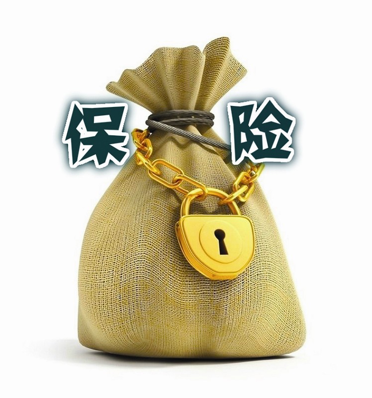什么理财险(什么理财保险好)