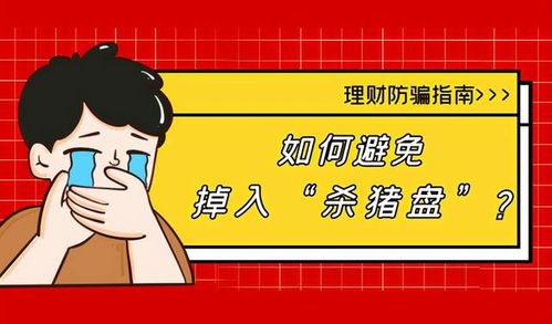 smi理财(smi理财公司简介)